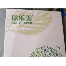 A3纸