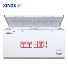 星星（XINGX）BD/BC-518G 518升商用大容量卧式冰柜 冷藏冷冻转换单温大冷柜