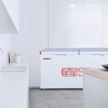星星（XINGX）BD/BC-518G 518升商用大容量卧式冰柜 冷藏冷冻转换单温大冷柜