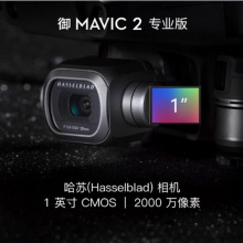 大疆（DJI）无人机 “御”Mavic 2 专业版 (DJI 带屏遥控器)套机