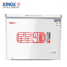 星星（XINGX）BD/BC-303GA冰柜商用卧式单温冷藏冷冻柜家用节能冰箱冰吧水果保鲜柜 1160*600*835mm