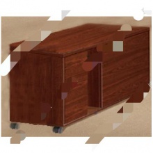 班台副台 FT-TGE1004