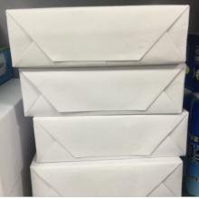 A5打印纸 复印纸 除静电白纸 凭证纸 500张/包 10包/箱 单位：箱