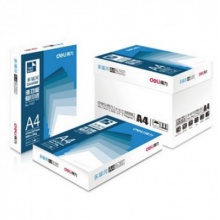 得力7441多瑙河复印纸(A4-70g-5包)(包)