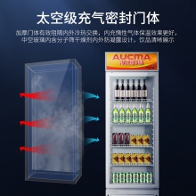 澳柯玛（AUCMA）387升 立式单门家用商用展示柜 冷藏饮料茶叶保鲜柜 啤酒冷饮玻璃门冰柜 SC-387（NE）
