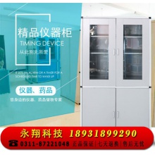 教室仪器柜工具柜工具橱定制实验室储物柜（含3个边柜1.9*0.4*1.2,2个仪器柜1*0.5*1.9）