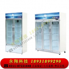 星星658L冷藏展示柜饮料柜立式冰柜商用超市陈列柜保鲜大冷柜 LSC658T 