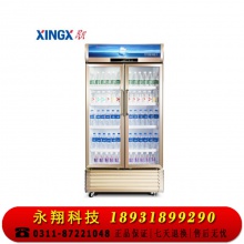 星星（XINGX）LSC-610WD商用双门立式展示柜冷藏冰箱 商用大容量保鲜冰柜 三门风冷超市冷柜