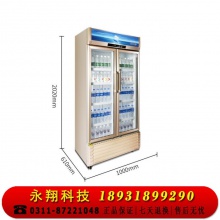 星星（XINGX）LSC-610WD商用双门立式展示柜冷藏冰箱 商用大容量保鲜冰柜 三门风冷超市冷柜