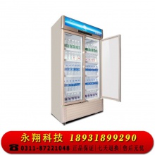 星星（XINGX）LSC-610WD商用双门立式展示柜冷藏冰箱 商用大容量保鲜冰柜 三门风冷超市冷柜