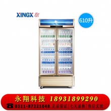 星星（XINGX）LSC-610WD商用双门立式展示柜冷藏冰箱 商用大容量保鲜冰柜 三门风冷超市冷柜