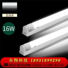 雷士（NVC）雷士照明 T8灯管 LED日光灯管1.2米16W 正白光6500K 不含支架