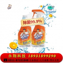 威猛先生 厨房重油污净 油烟机清洗剂 清新柑橘 455g+455g 双瓶装 强力去油污厨房清洁剂 油烟净