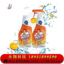 威猛先生 厨房重油污净 油烟机清洗剂 清新柑橘 455g+455g 双瓶装 强力去油污厨房清洁剂 油烟净
