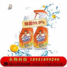 威猛先生 厨房重油污净 油烟机清洗剂 清新柑橘 455g+455g 双瓶装 强力去油污厨房清洁剂 油烟净