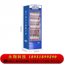 星星（XINGX） 280升 立式玻璃冷柜 饮料陈列柜 商用冷藏冰箱 LSC-280G