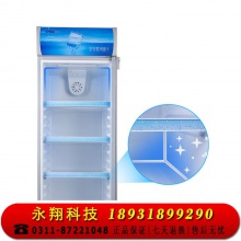 星星（XINGX） 316升 立式玻璃门冷柜 饮料陈列柜 商用冷藏冰箱（银灰色） LSC-316C