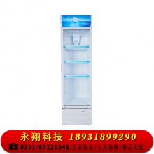 星星（XINGX） 236升 立式玻璃门冷柜 饮料陈列柜 商用冷藏冰箱（银灰色） LSC-236C