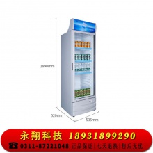 星星（XINGX） 236升 立式玻璃门冷柜 饮料陈列柜 商用冷藏冰箱（银灰色） LSC-236C