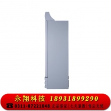 星星（XINGX） 236升 立式玻璃门冷柜 饮料陈列柜 商用冷藏冰箱（银灰色） LSC-236C