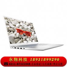 戴尔DELL15.6英寸英特尔酷睿i7轻薄笔记本电脑(十代i7-10510U 8G 1TSSD MX250 2G 2年整机)