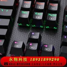 灵蛇（LINGSHE)机械键盘 有线机械键盘 104键 混光 黑色