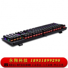 灵蛇（LINGSHE)机械键盘 有线机械键盘 104键 混光 黑色